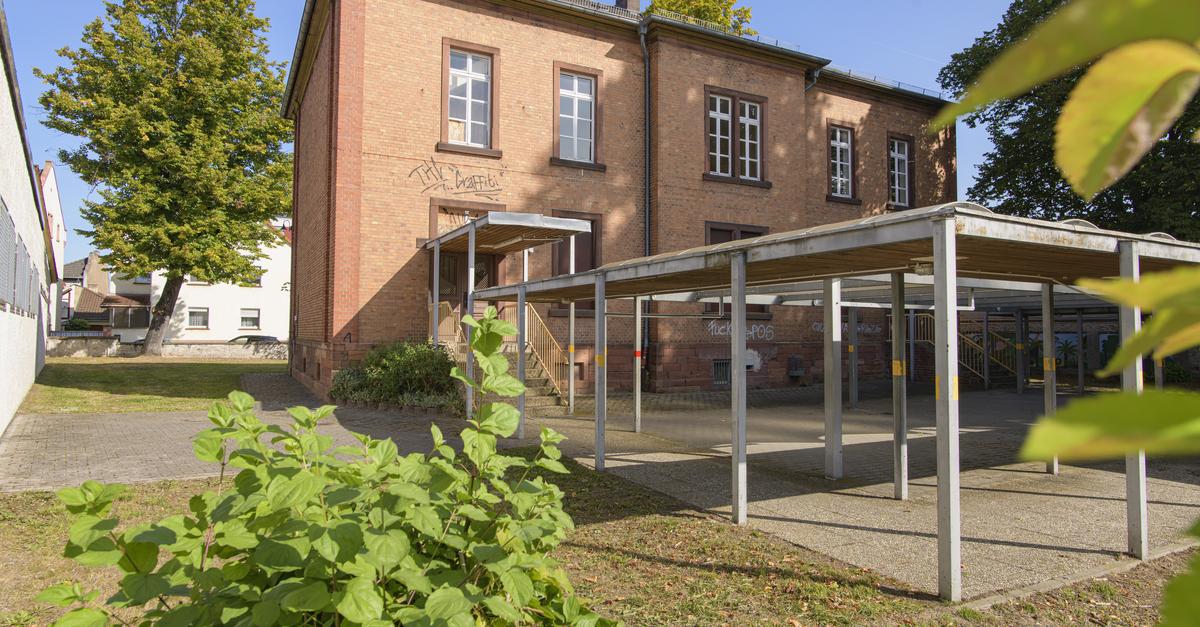  Groß-Gerau: Muss das Kita-Amt aufs Schwenkschul-Areal? Motiv 